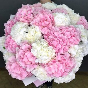 Облако гортензий