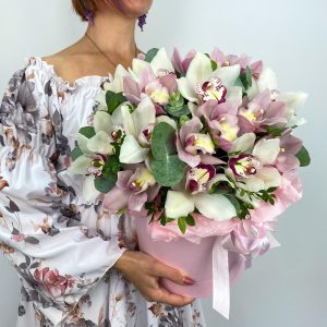 Нежные орхидеи