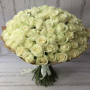 Понтераника