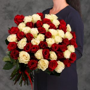 55 красных и белых Эквадорских роз 70см