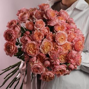 Джульетта роза пионовидная кустовая