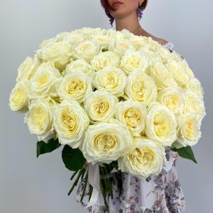 Кэнденлайт