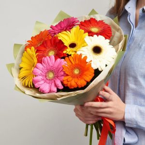Солнышко микс