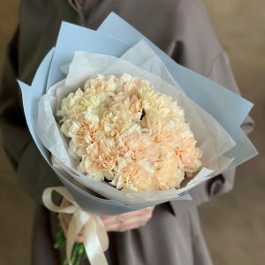 Робкая мечта