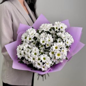 Комплиментик