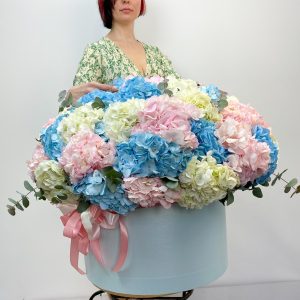 Огромная коробка гортензий