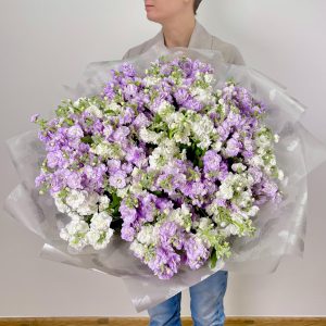 Охапка маттиолы