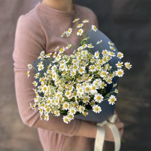 Романтика лета S