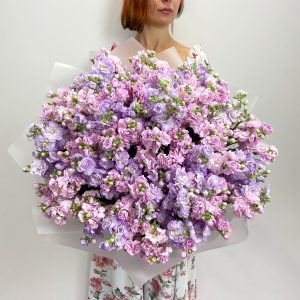 Кружевная маттиола