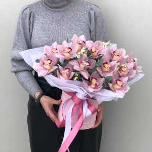 Полет бабочки