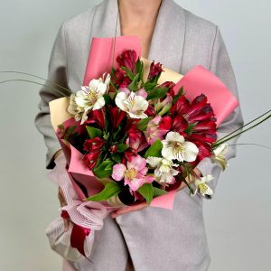 Альстра севен
