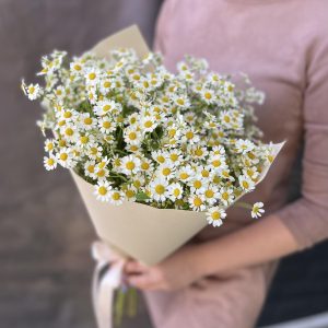 Романтика лета М