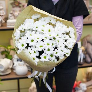 Хризантема ромашковая