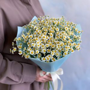 Ромашковое лето